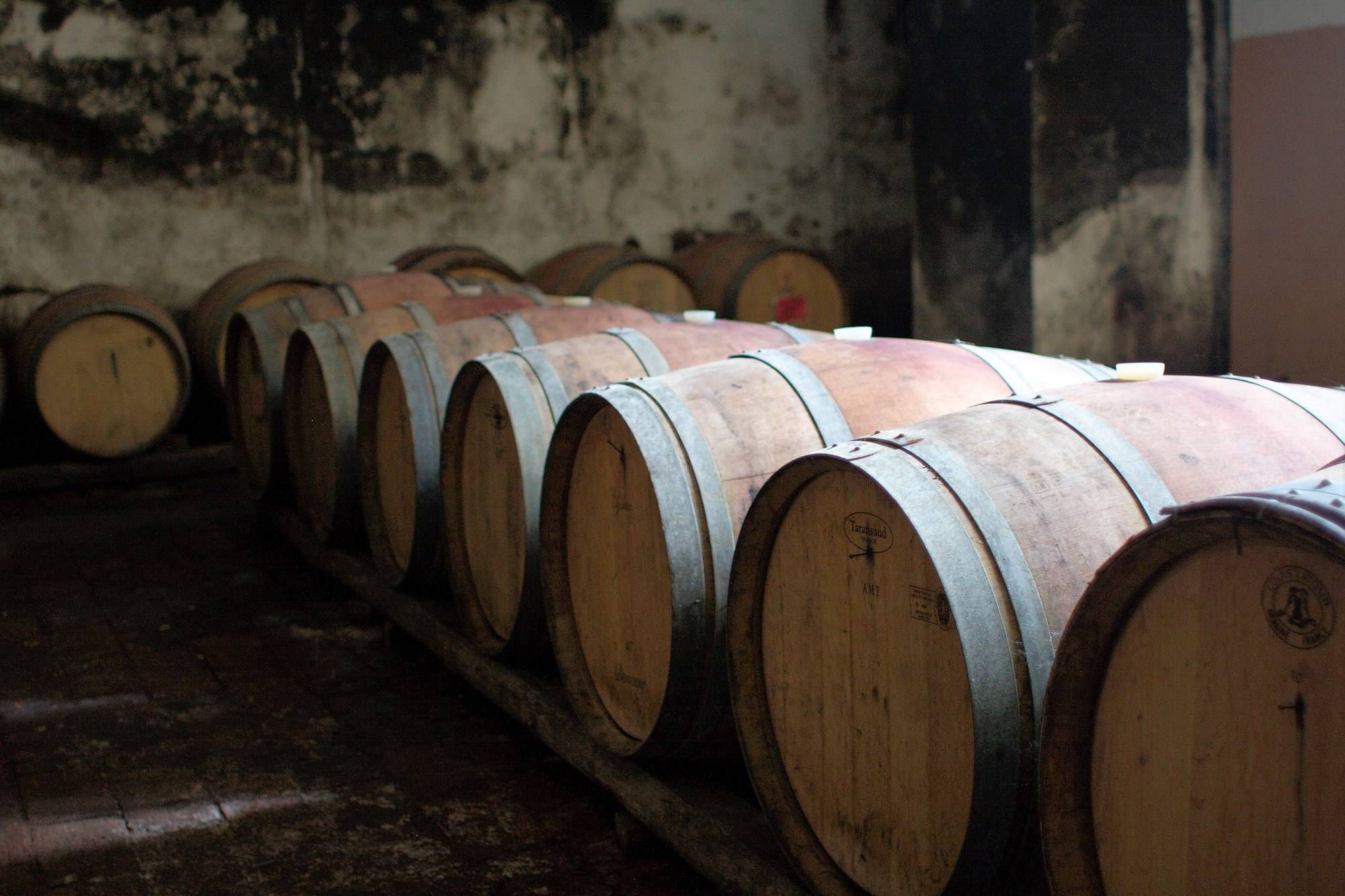 Rangée de barriques de vin en bois alignées dans une cave voûtée